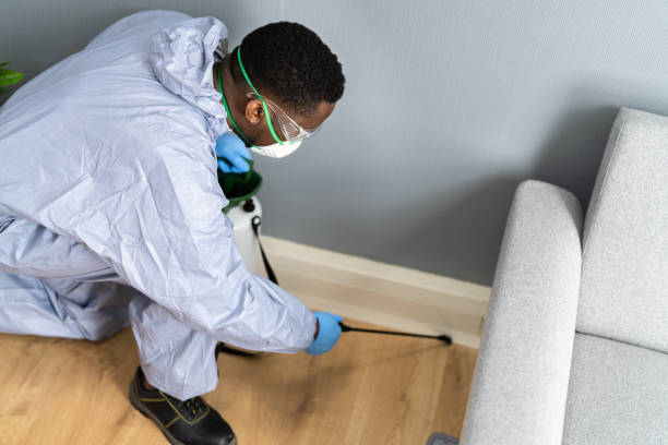 Professional Pest Control in Westland, MI